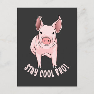 Carte Postale Restez Cool Bro Funny Pig