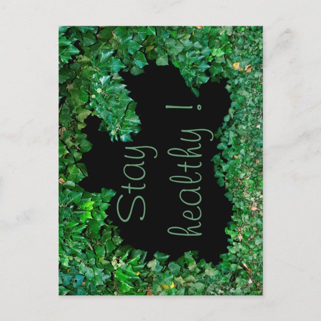 Carte Postale Restez en bonne santé avec le Ivy vert (Devant)