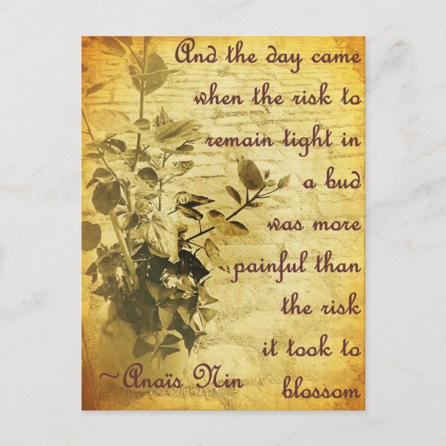 Carte Postale Restez serré dans le bourgeon (Devant)