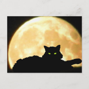 Carte Postale Resting Black Cat and Full Moon