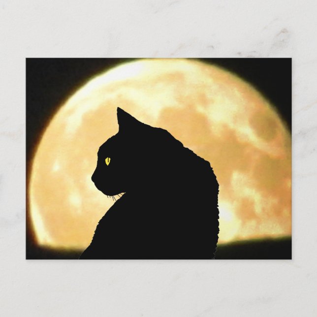 Carte Postale Retour Chat noir et Pleine lune (Devant)