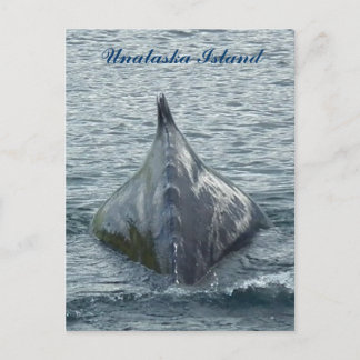 Carte Postale Retour d'une baleine dans la baie d'Unalaska