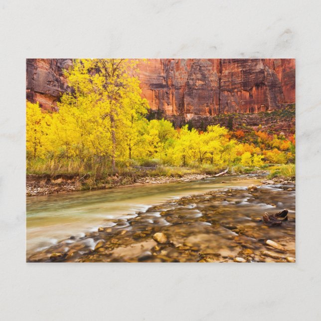 Carte Postale Retour En Automne (Devant)