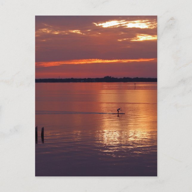 Carte Postale Retours du Nocturne Paddle Boarder (Devant)