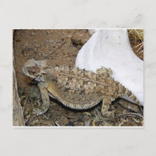 Carte Postale Retours Godzilla