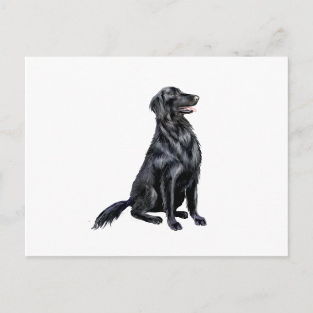 Carte Postale Retriever à poil plat (B) (Devant)