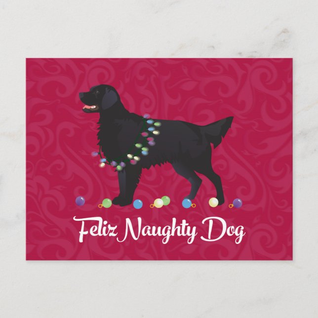Carte Postale Retriever noir plat Feliz Naughty Chien (Devant)