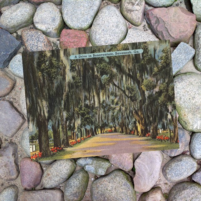 Carte Postale Rétro Bonaventure Drive Savannah GA (Créateur téléchargé)