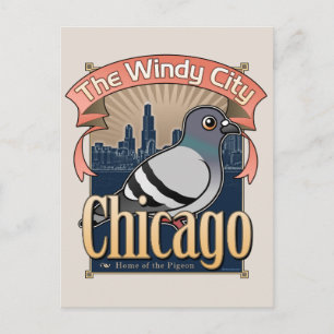 Carte Postale Retro Chicago Pigeon