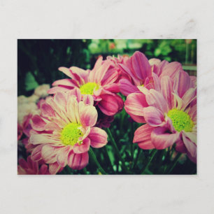 Carte Postale Retro Daisies II