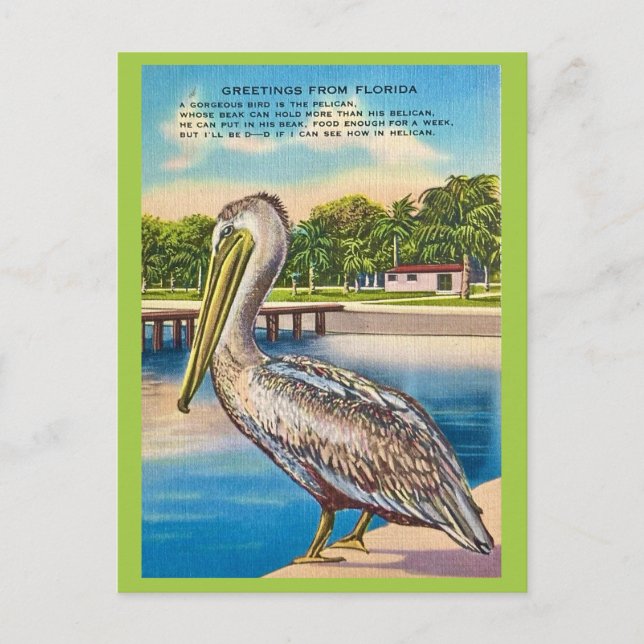 Carte postale rétro de Floride  (Devant)