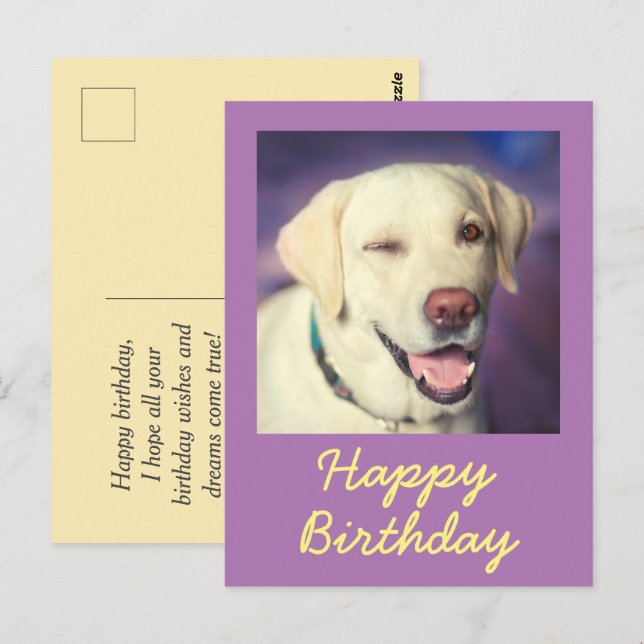 Carte postale rétro drôle de chien et joyeux anniv (Devant / Derrière)