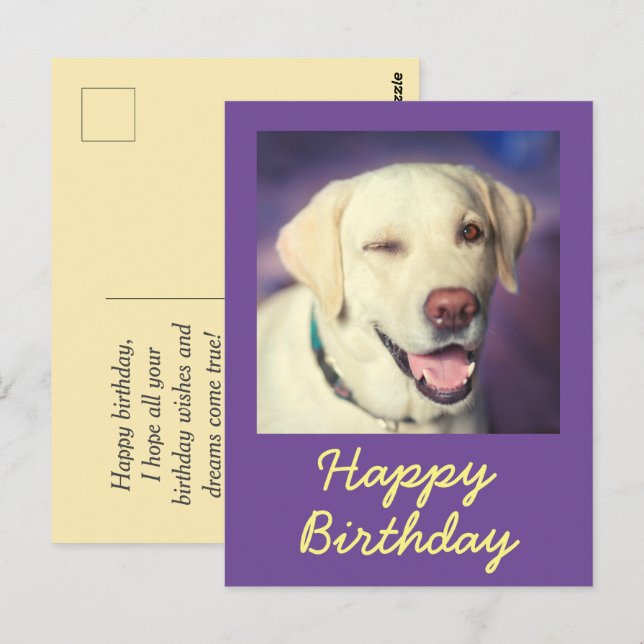 Carte postale rétro drôle de chien et joyeux anniv (Devant / Derrière)