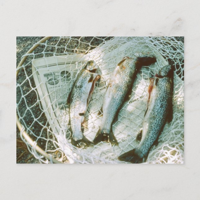 Carte postale Retro Fishing Net and Trout (Devant)