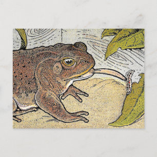 Carte postale Retro Vintage Frog Book Illustration