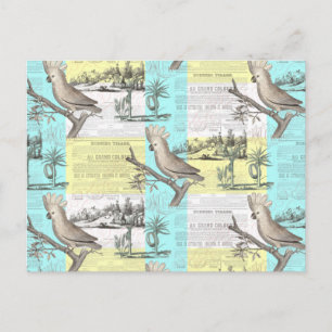 Carte Postale Rêve de Cockatoo tropical