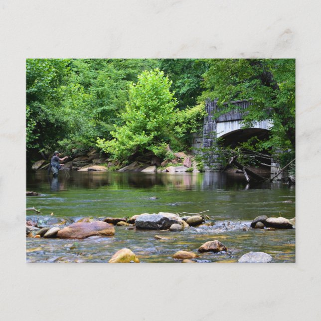 Carte Postale Rêve de la Journée de la Pêche Volée (Devant)