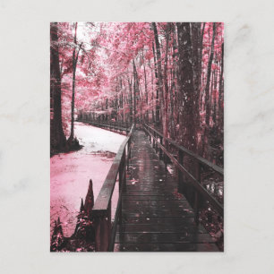 Carte Postale rêve de marécage sain