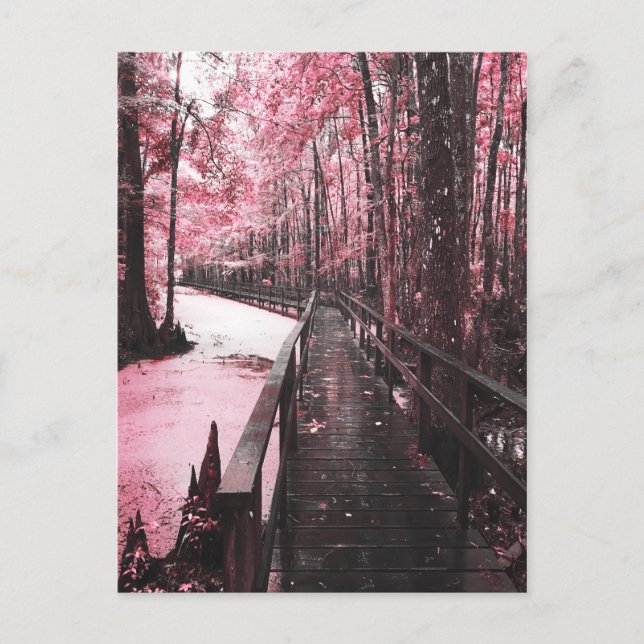 Carte Postale rêve de marécage sain (Devant)