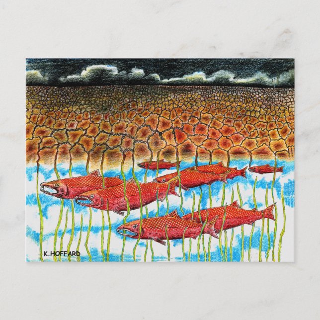 Carte Postale Rêve de poisson (Devant)