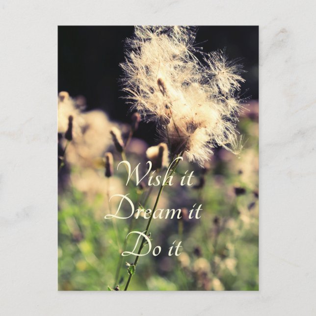 Carte Postale Rêve de souhaits (Devant)
