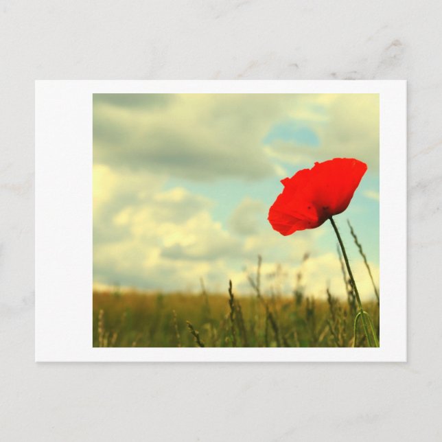 Carte Postale rêve d'été (Devant)