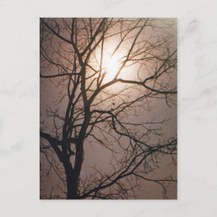 Carte Postale Rêve lunaire