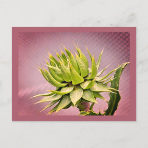 Carte Postale rêve vert