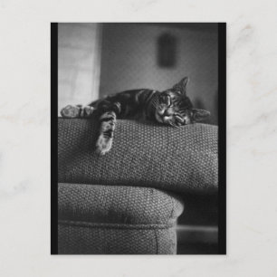 Carte Postale Rêver