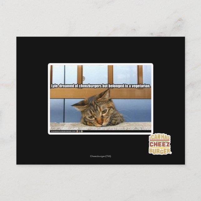Carte Postale Rêver de cheesburgers (Devant)