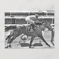 Rêver de Julia- Champion filly de 2 ans