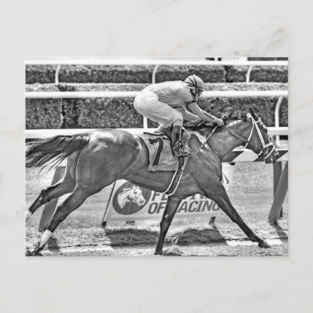 Carte Postale Rêver de Julia- Champion filly de 2 ans (Devant)