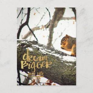 Carte Postale Rêver plus grand que l'écureuil