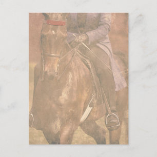 Carte Postale Rêves à selle