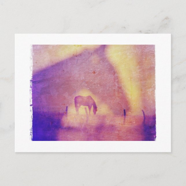 Carte Postale Rêves de cheval (Devant)