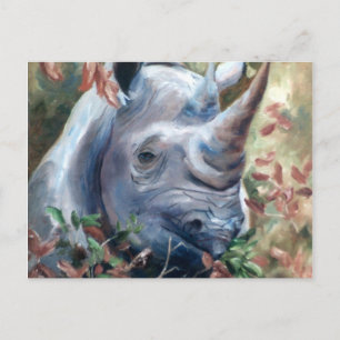 Carte postale Rhino