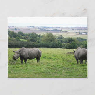 Carte Postale rhino