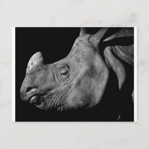 Carte Postale Rhino