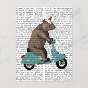 Carte Postale Rhino sur cyclomoteur