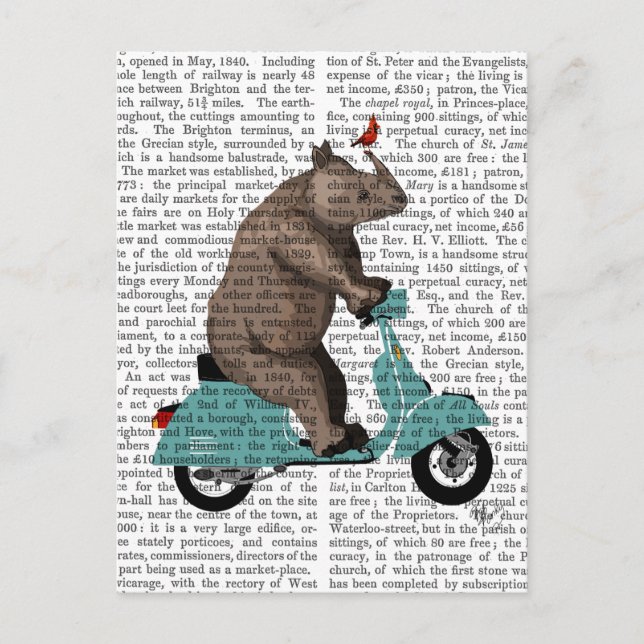 Carte Postale Rhino sur cyclomoteur (Devant)