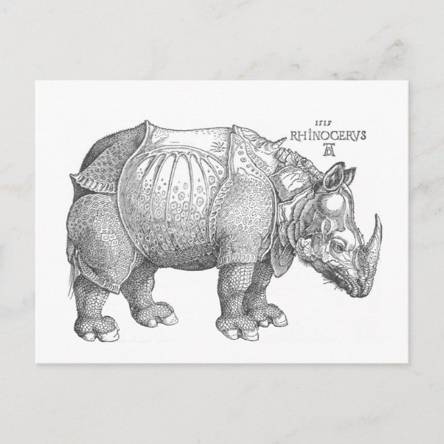 Carte Postale Rhinoceros (Devant)