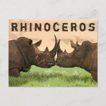 rhinocéros