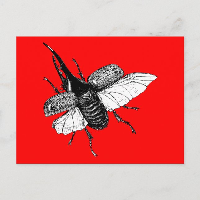 Carte Postale Rhinoceros Beetle Gravure Vintage en bois (Devant)
