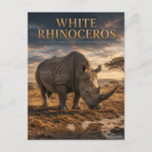Rhinocéros Blanc Savane ANIMAUX