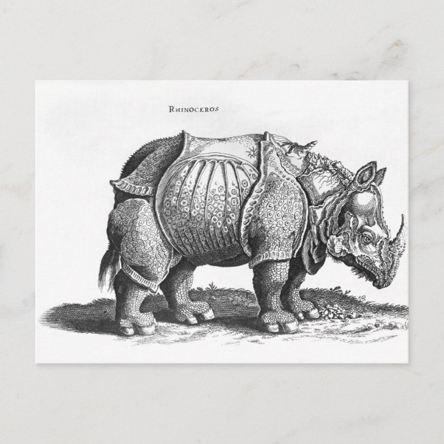 Carte Postale Rhinocéros, de 'Historia Animalium (Devant)