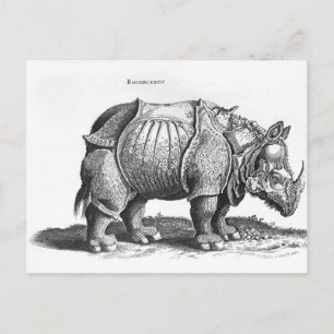 Carte Postale Rhinocéros, de 'Historia Animalium
