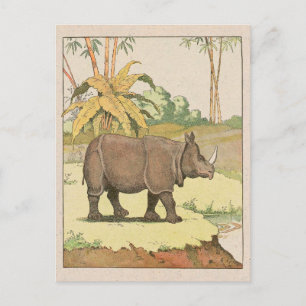 Carte Postale Rhinoceros Dessin de livre
