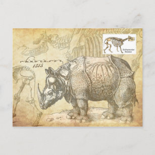 Carte Postale Rhinoceros et squelette du XVIe siècle
