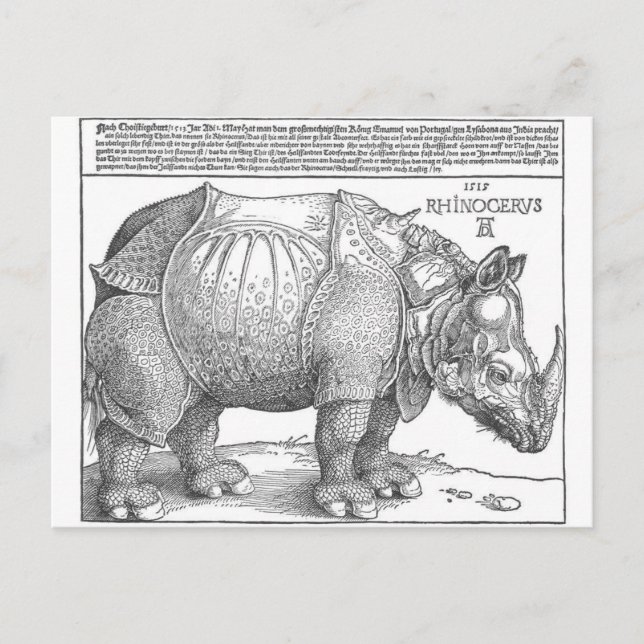 Carte Postale Rhinoceros par Albrecht Durer (Devant)