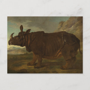 Carte Postale Rhinocéros (Rhinocéros) (Animal sauvage) (par J.B.